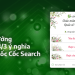 Snippet 8/3 - Cốc Cốc Search