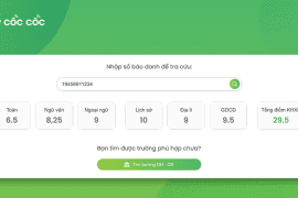 Tra cứu điểm thi tốt nghiệp THPT Quốc gia nhanh, chính xác cùng Cốc Cốc Học tập Tra cuu diem thi Coc Coc Hoc tap edit