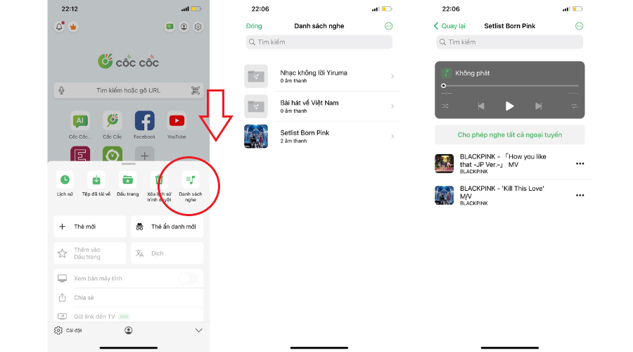 Nghe nhạc offline tren iPhone trong Danh sach nghe tren Coc Coc