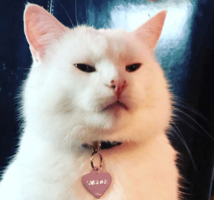 meo Smudge 3 1