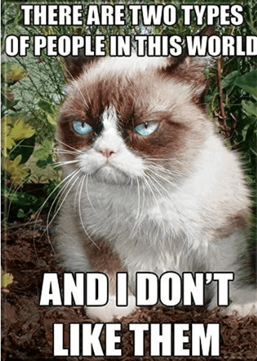 meo grumpy 3