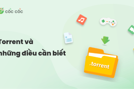Torrent là gì? Những điều cần biết về torrent Torrent va nhung dieu ban can biet