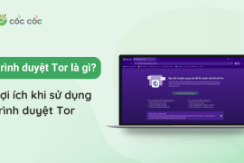 Trình duyệt Tor là gì? Lợi ích khi sử dụng trình duyệt Tor  trinh duyet tor la gi loi ich khi su dung trinh duyet tor