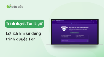 Trình duyệt Tor là gì? Lợi ích khi sử dụng trình duyệt Tor 