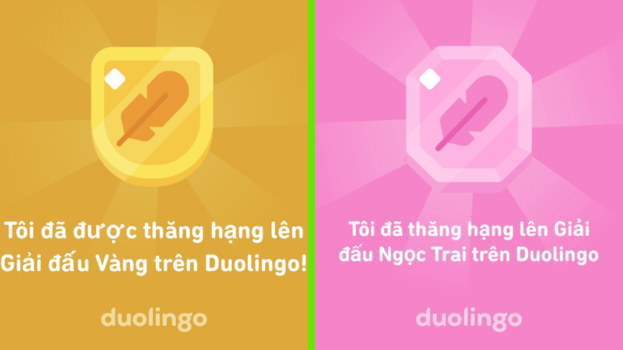 Bảng xếp hạng Duolingo là gì