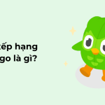 bang xep hang duolingo la gi 1