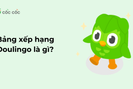 Bảng xếp hạng Duolingo là gì? Làm thế nào để xem bảng cấp độ xếp hạng? bang xep hang duolingo la gi 1