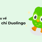 chung chi duolingo 1