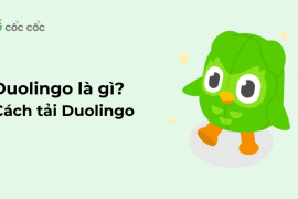 Duolingo là gì? Hướng dẫn cách tải Duolingo miễn phí duolingo la gi 1