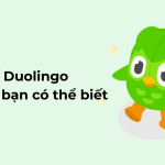 duolingo meme