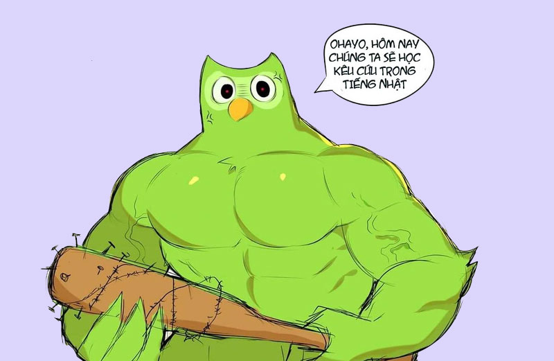 Các ảnh Duolingo meme tiếng việt theo cảm xúc 