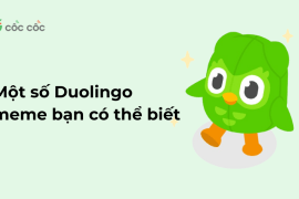 Một số Duolingo meme bạn có thể biết duolingo meme