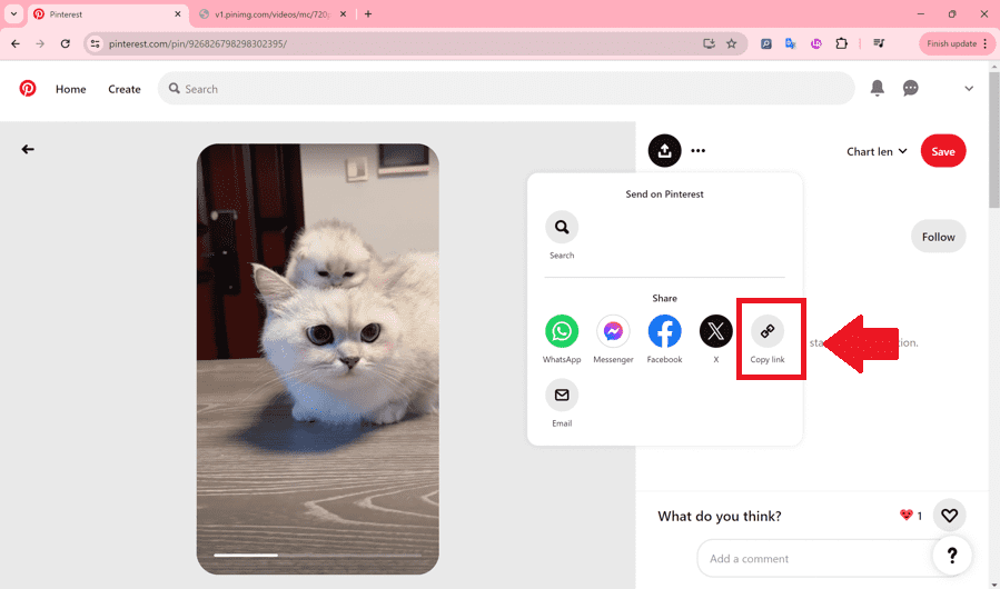 Sử dụng Pinterest Video Downloader 