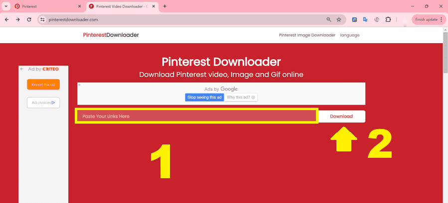 Sử dụng Pinterest Video Downloader 2