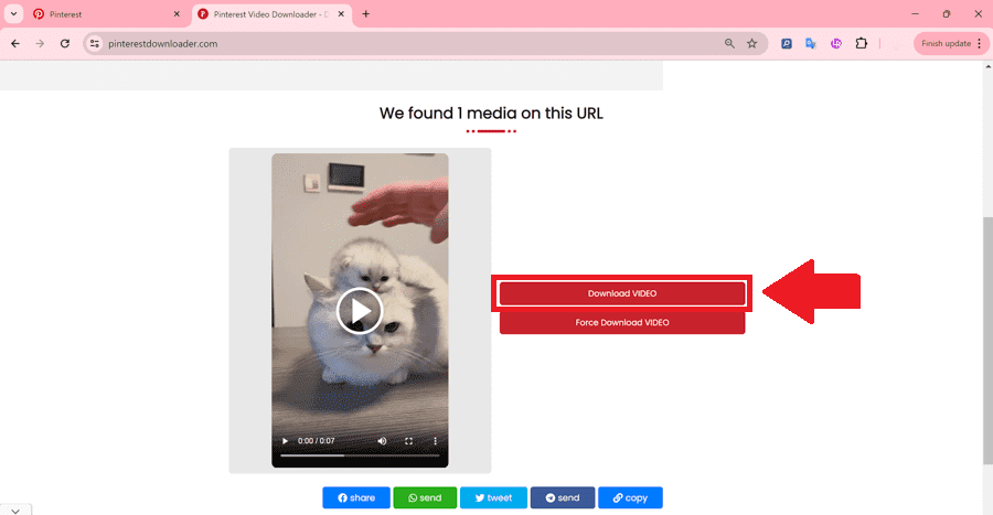 Sử dụng Pinterest Video Downloader 3