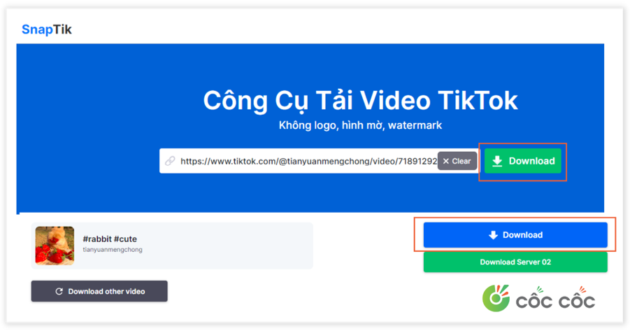 tải video tiktok bằng snaptik