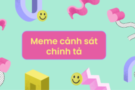 Cảnh sát chính tả là gì? Tổng hợp meme cảnh sát chính tả tong hop meme canh sat chinh ta