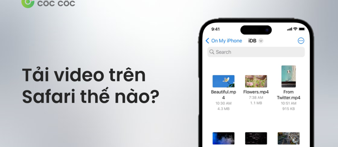 cach tai video tren safari iphone