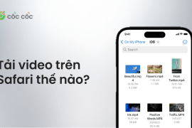 Cách tải video trên Safari chi tiết dành cho tín đồ iPhone 2025 cach tai video tren safari iphone