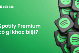 Spotify Premium có gì khác biệt với bản miễn phí? spotify premium khac gi ban mien phi e1728377533243