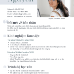 cv tham khao cho sinh vien 8