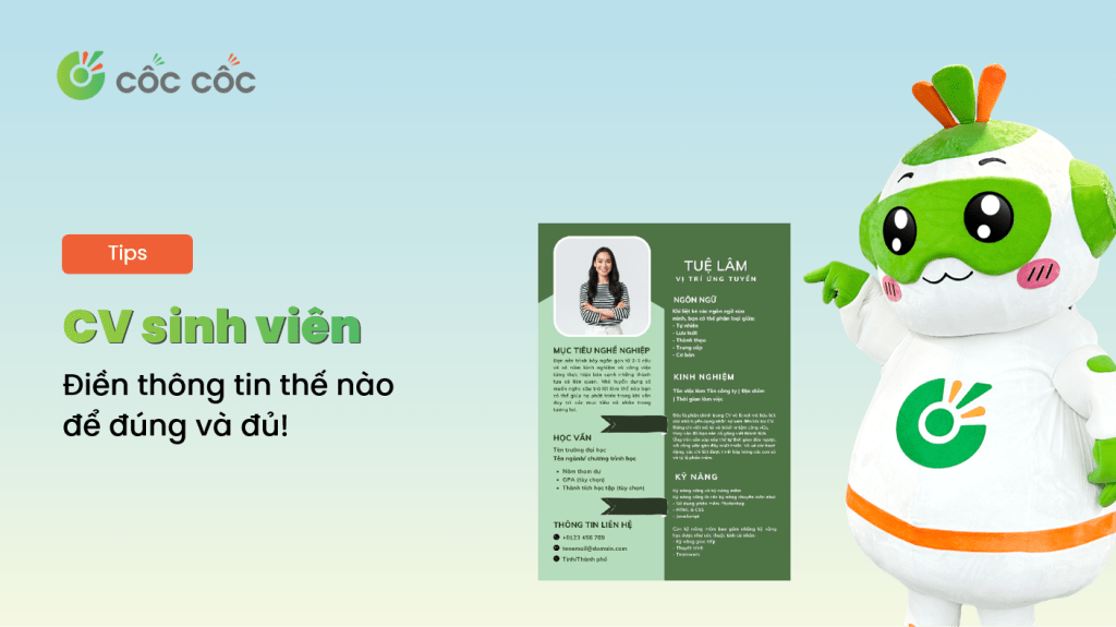 CV xin việc cho sinh viên mới ra trường cần những thông tin nào? viet cv cho sinh vien