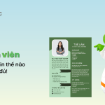 viet cv cho sinh vien
