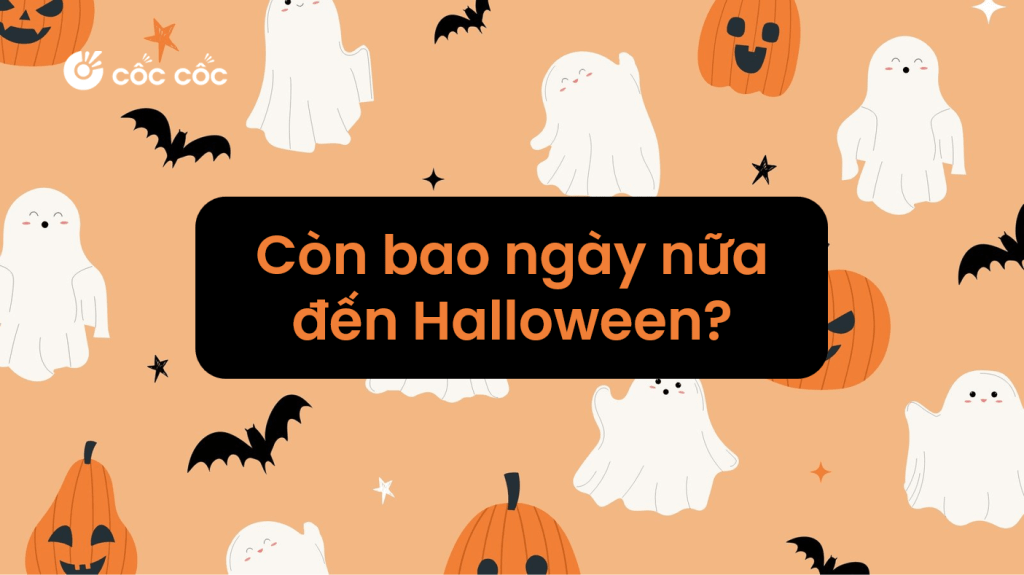 Ngày Halloween 2024 là ngày mấy? Bao nhiêu ngày nữa đến lễ hội Halloween bao nhieu ngay nua toi halloween