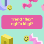 flex là gì