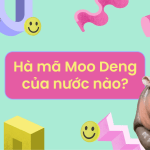 moo deng la gi cua nuoc nao