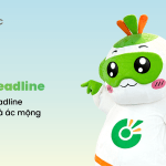 sinh vien chay deadline la gi