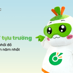 sinh vien mac gi khi hoc dai hoc