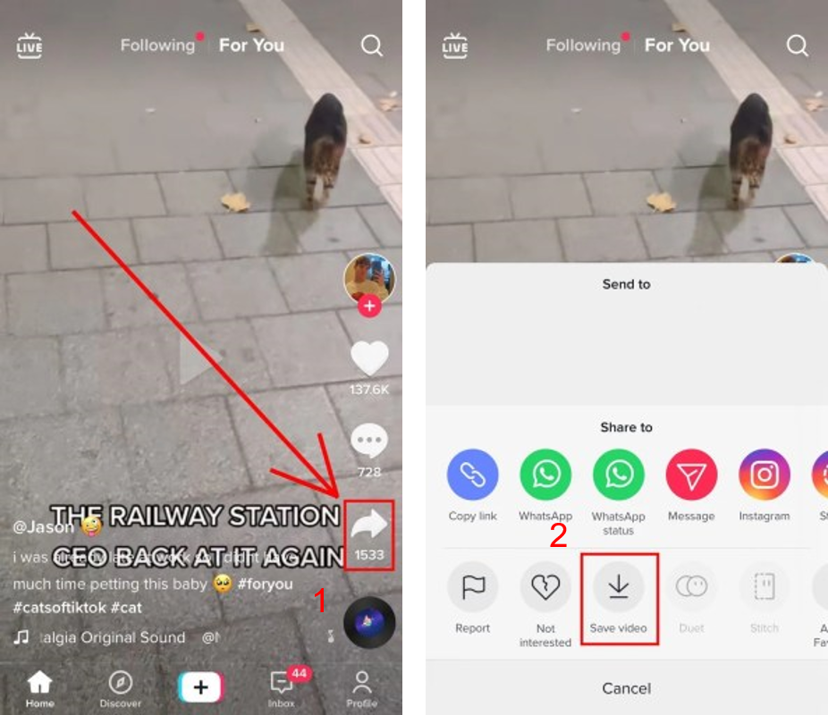 tải video từ tiktok app