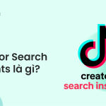 tìm hiểu tiktok creator search insights là gì