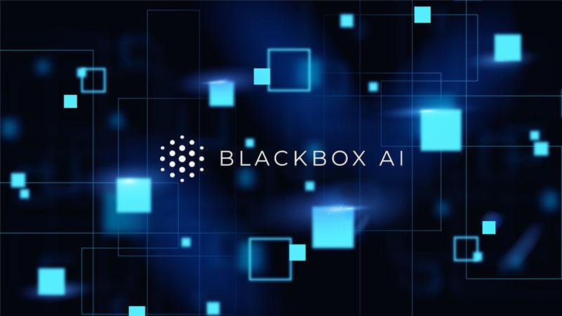 black box ai la gi