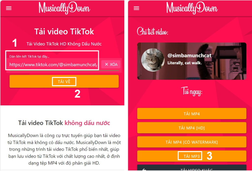 tải nhạc từ video tiktok