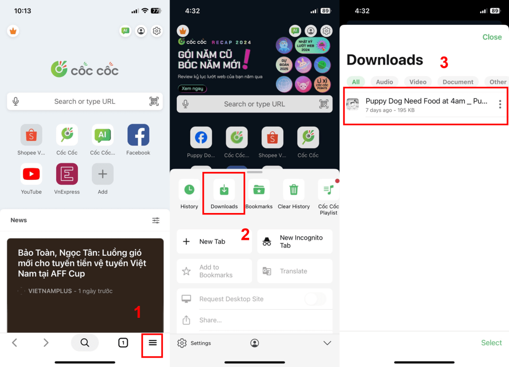 xem video offline trên cốc cốc