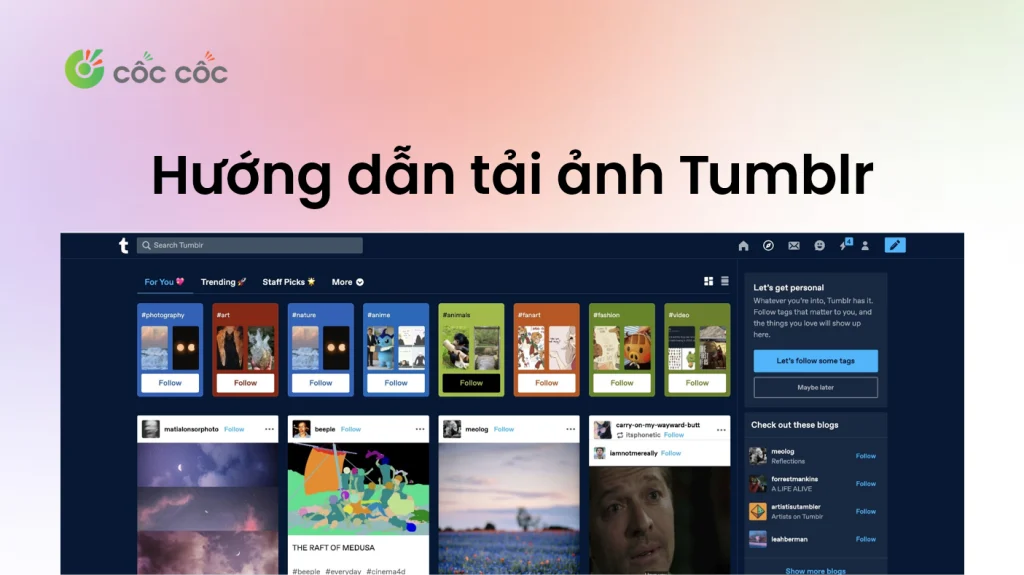 Hướng dẫn chi tiết cách tải ảnh trên Tumblr nhanh nhất cách tải ảnh tumblr