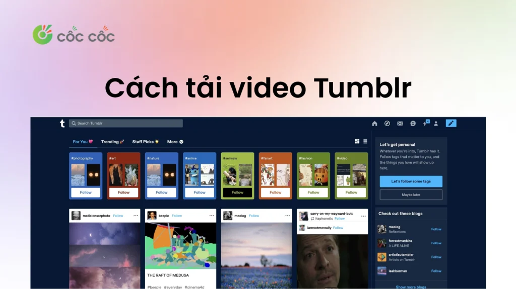 Hướng dẫn cách tải video Tumblr chi tiết và đơn giản hướng dẫn tải video tumblr