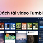 hướng dẫn tải video tumblr