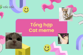 Tổng hợp Cat Meme dễ thương và hài hước nhất 2025 tổng hợp cat meme hot