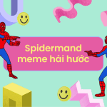 tổng hợp spiderman meme