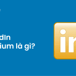 linkedin premium là gì