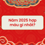 năm hợp màu gì