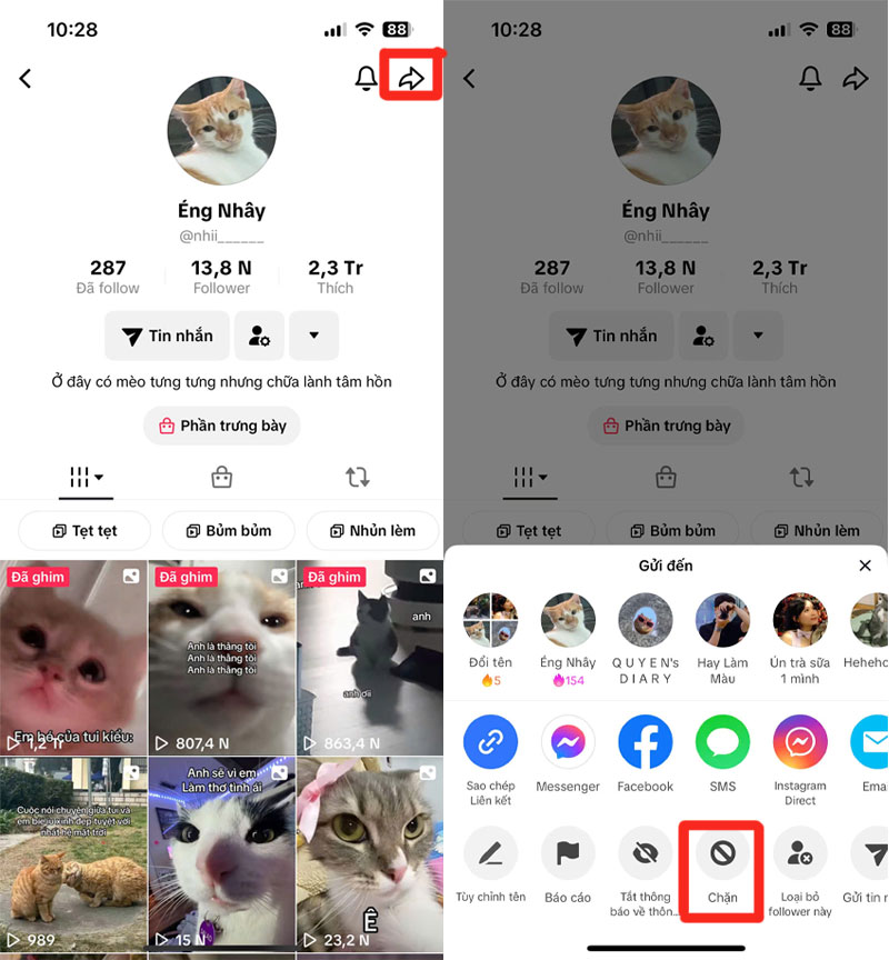 2-chan-nguoi-follow-tren-tiktok-cu-the chan nguoi follow tren tiktok cu the