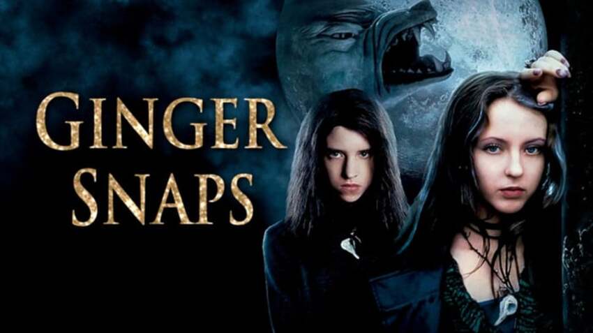 2-ginger-snaps-nang-soi ginger snaps nang soi