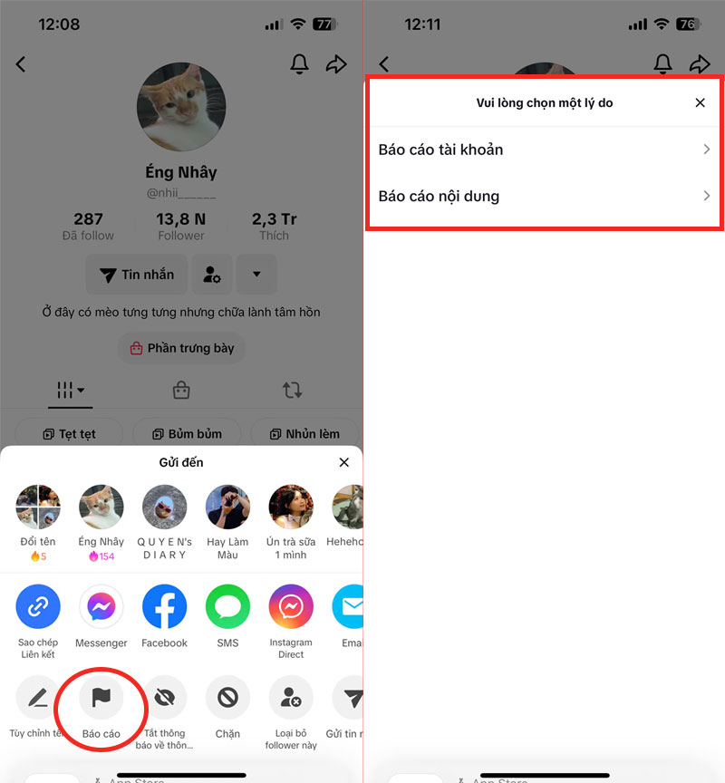 6-bao-cao-tai-khoan-spam-hoac-quay-roi bao cao tai khoan spam hoac quay roi