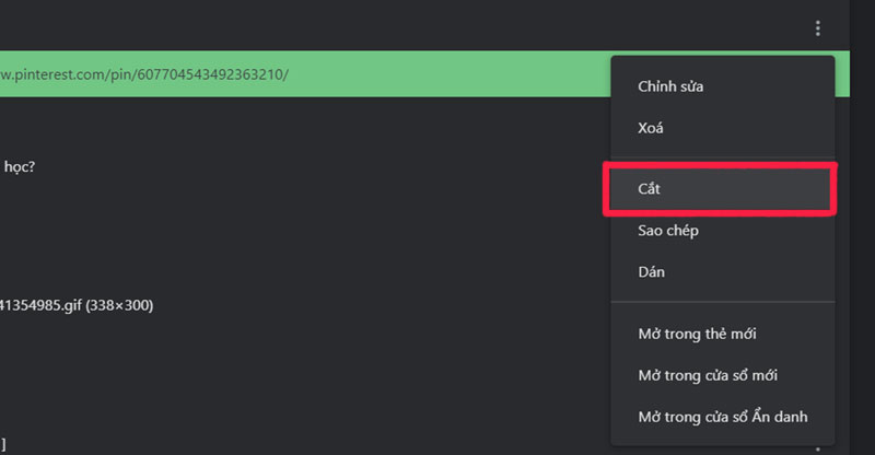 9-cat-dau-trang cat dau trang