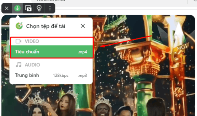 Chon phien ban dinh dang Video muon tai xuong