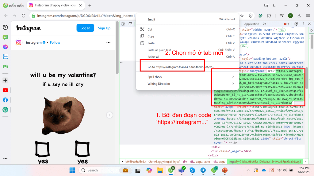 cách tải ảnh insta về máy tính cách tải ảnh insta về máy tính